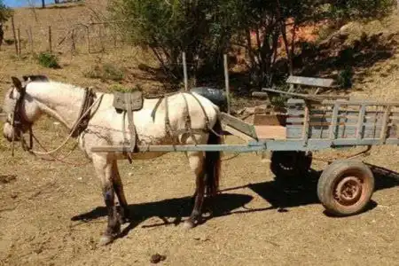 Sonhar com Carroça