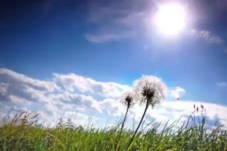 Sonhar com dia claro e bonito, significa boas notícias. Sonhar com dia escuro, chuvoso ou triste, significa mudanças em sua vida.