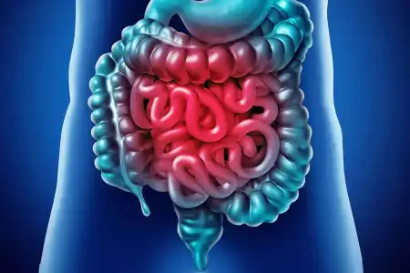 	Sonhar com Intestinos, vê-los, falecimento de pessoa ausente. Ver os próprios intestinos, aumento na família.