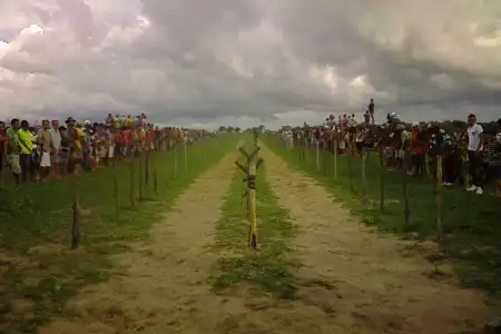 Sonhar com prado, estar nele significa saúde. Vê-lo verdejante, restabelecimento de saúde. Estar num de corridas, leviandade prejudicial.