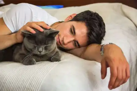 Encontrado um gatinho, no dia de Santo Antônio, arranje um pedaço de fita vermelha e escreva seu nome completo, com o seu desejo de amor.